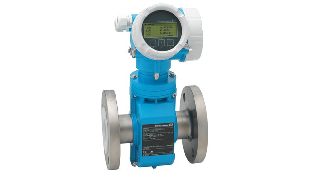 Endress+Hauser ®
